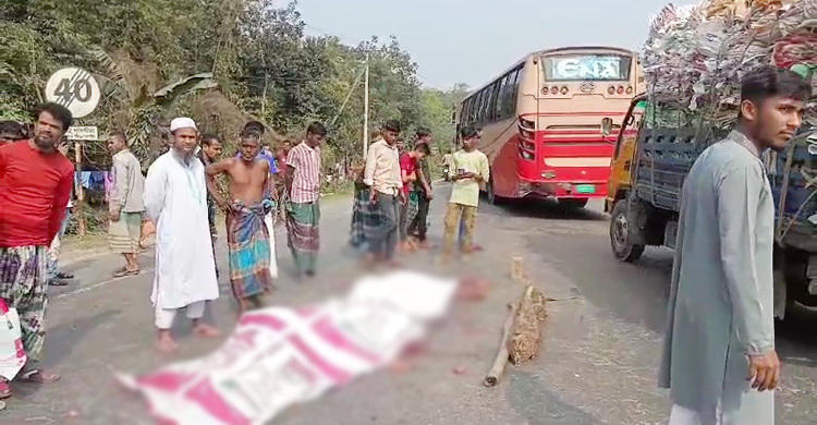 মোটরসাইকেল থেকে ছিটকে সড়কে, বাসচাপায় প্রাণ গেলো দুই আরোহীর