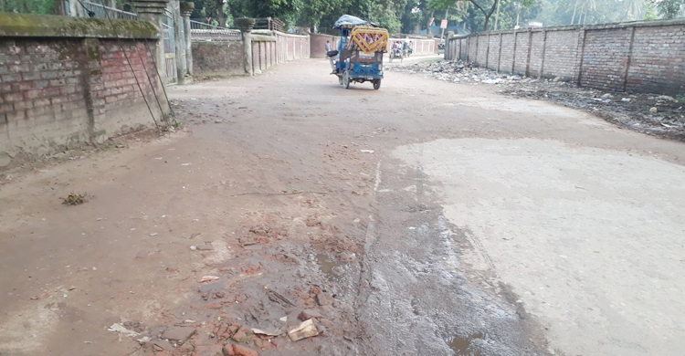 যানবাহনে চড়ে আতঙ্কে থাকি, কখন যেন উল্টে যায়