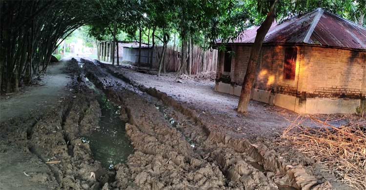 সড়ক তো নয়, এ যেন খাল