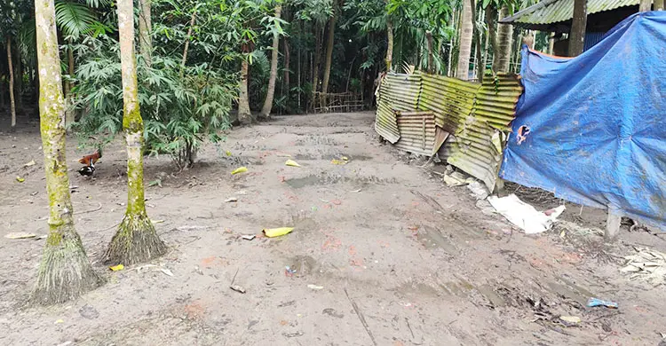 রাস্তার ইট তুলে বিক্রি করে দিলেন ইউপি সদস্য