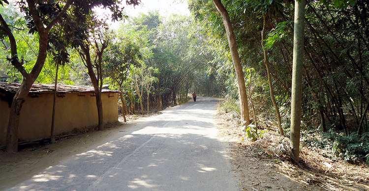 সারাদেশে ১ লাখ ৪১ হাজার কিলোমিটার গ্রামীণ সড়ক পাকা