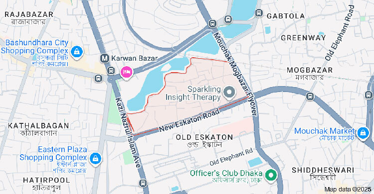 Pedestrian injured in crude bomb blast on New Eskaton Road