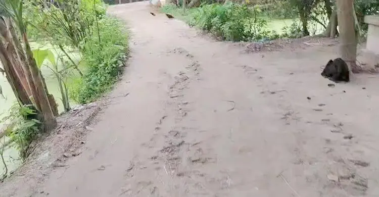 নকশায় থাকলেও ৫০ মিটার বাদ রেখে সড়কের কাজ শেষ করার প্রস্তুতি