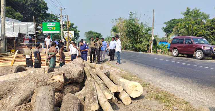 পটুয়াখালীতে মহাসড়কের পাশ থেকে সরানো হচ্ছে গাছের গুঁড়ি