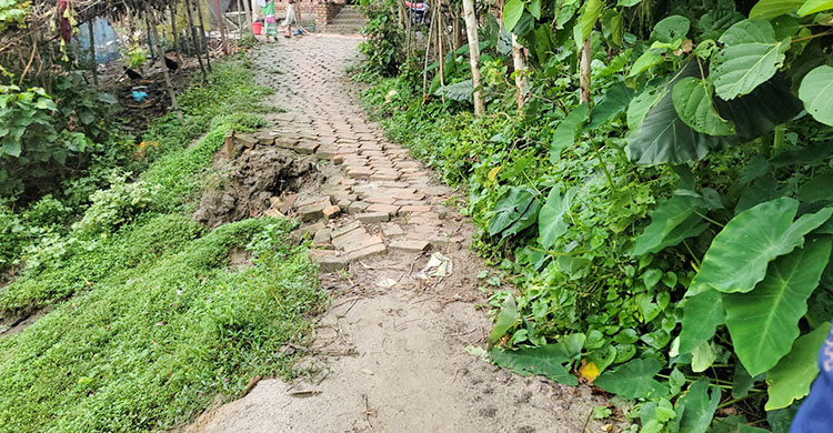 রাস্তার ইট তুলে নিয়ে বাড়ির বাথরুম বানালেন ইউপি মেম্বার!