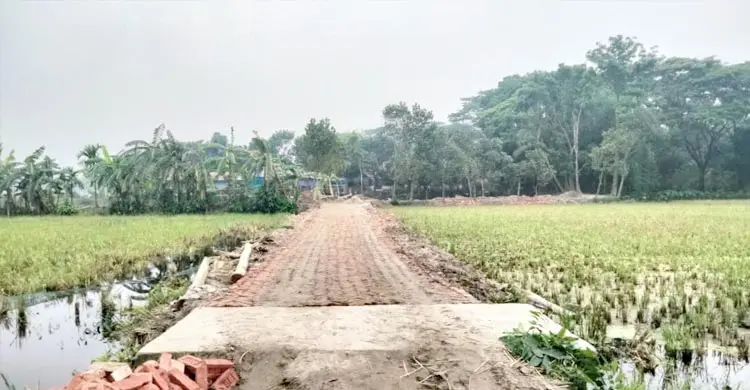 ইউপি সদস্যের বিরুদ্ধে সরকারি সড়কের ইট আত্মসাতের অভিযোগ