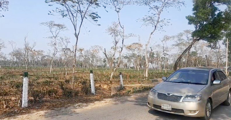 ছিনতাই-ডাকাতির আতঙ্ক, সতর্কভাবে চলাচলের আহ্বান পুলিশের