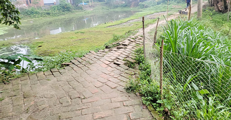 রাস্তার ইট তুলে নিয়ে বাড়ির বাথরুম বানালেন ইউপি মেম্বার!
