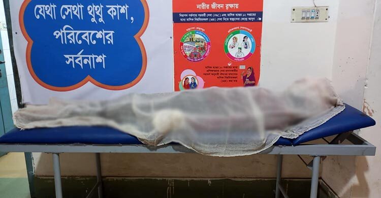 দিনাজপুরে কাভার্ডভ্যান-ইজিবাইক মুখোমুখি সংঘর্ষে নিহত ২