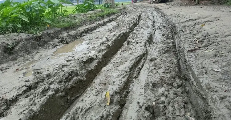 জিলাপি খাইয়ে উদ্বোধন, পরে পুরো সড়কের ইট চুরি