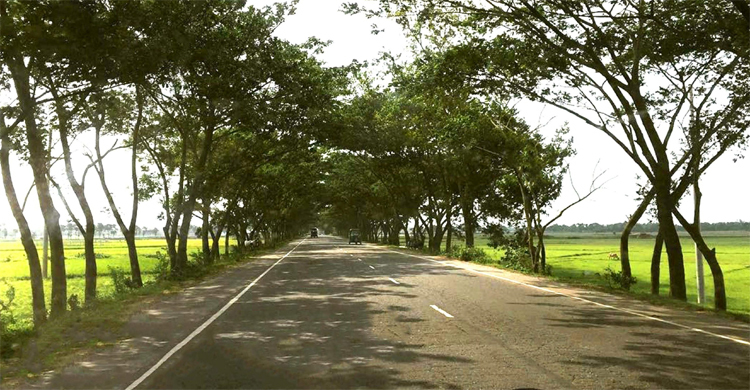 সড়কে জমাটবাঁধা রক্তে বালুচাপা, মরদেহ ফেলে পালালেন ট্রাকচালক