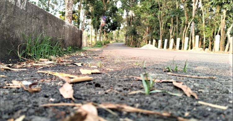 কোটি টাকার রাস্তায় হাত দিলেই উঠে আসছে পিচ