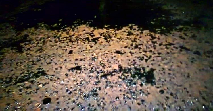 খুলনায় রাতের আঁধারে বিটুমিন ঢেলে সড়কে কার্পেটিং