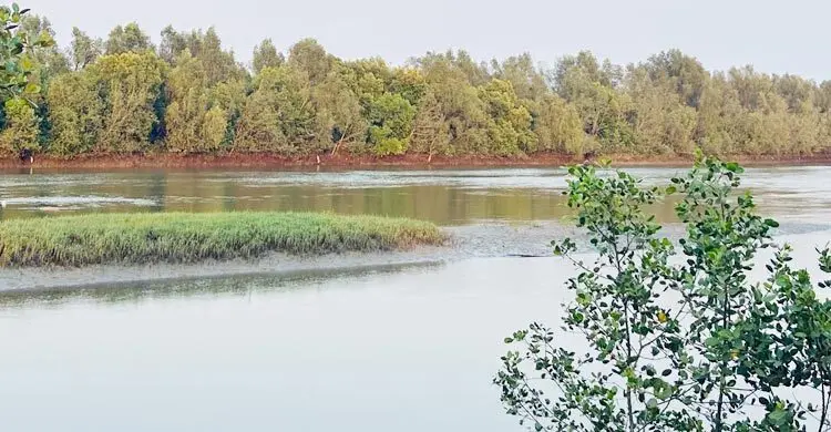 উখিয়া সীমান্তে মাইন বিস্ফোরণে রোহিঙ্গা যুবকের পা বিচ্ছিন্ন