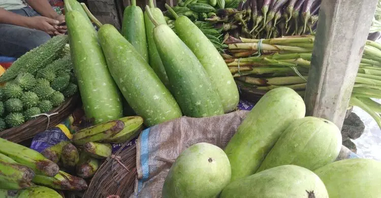বৃষ্টির অজুহাতে রংপুরে বেড়েছে সবজির দাম