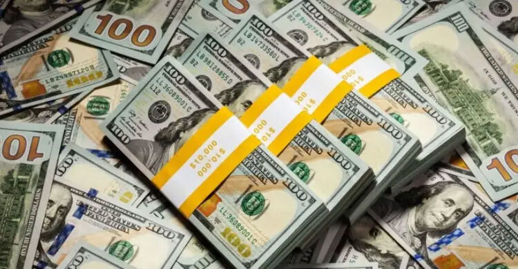 ৮ দিনে ৯১৯৮ হাজার কোটি টাকার প্রবাসী আয়