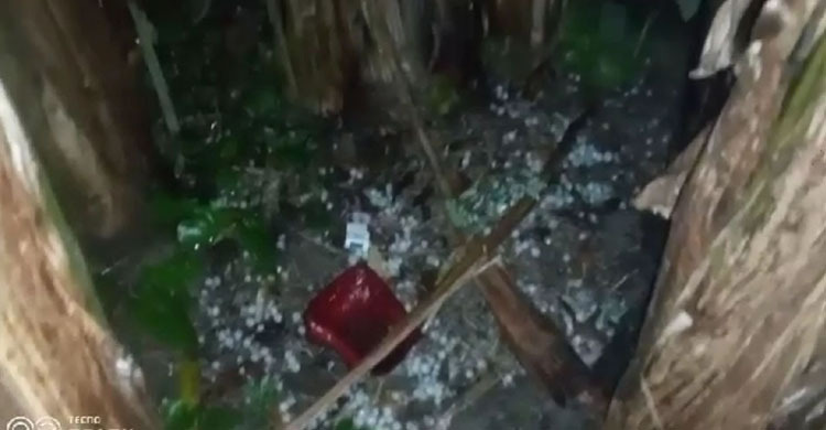 নাটোরে শিলাবৃষ্টি, ফসলের ব্যাপক ক্ষতি