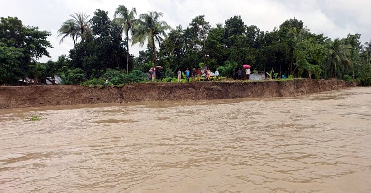 মধুমতীর ভাঙনে বিলীন হচ্ছে ঘরবাড়ি, আতঙ্কিত মানুষ