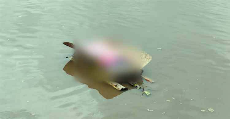 কলা গাছের ভেলায় ভেসে এলো ভারতীয় শিশুর মরদেহ