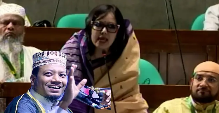সংসদে আমির হামজার বক্তব্যের বিচার চাইলেন রুমিন ফারহানা
