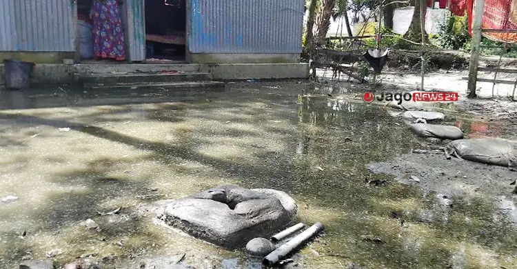 বৃষ্টির পর স্বস্তি কেড়েছে মশা, ডেঙ্গু-চিকুনগুনিয়া আতঙ্ক