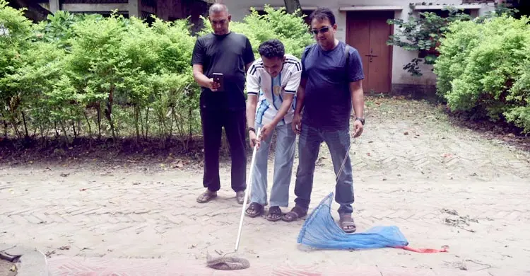 জেলের জালে ধরা পড়লো জীবিত রাসেল ভাইপার