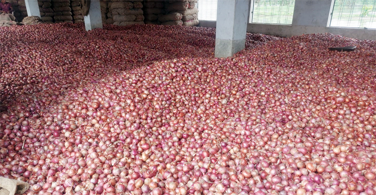 ভোমরা বন্দরে পেঁয়াজ আমদানি কমেছে