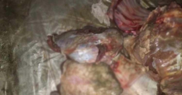 সাতক্ষীরায় চার বস্তা হরিণের মাংস জব্দ