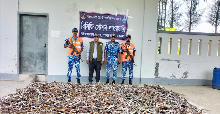 চাতাল থেকে ৫০০ মণ হাঙ্গরের শুঁটকি জব্দ