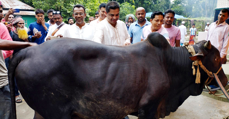 ১৫ বছর ধরে বঙ্গবন্ধুর পরিবারের নামে কোরবানি দেন যুবলীগ নেতা