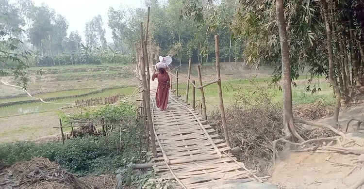 খাল পারাপারে ভরসা নড়বড়ে বাঁশের সাঁকো