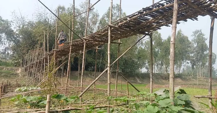 খাল পারাপারে ভরসা নড়বড়ে বাঁশের সাঁকো