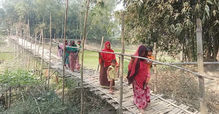 খাল পারাপারে ভরসা নড়বড়ে বাঁশের সাঁকো