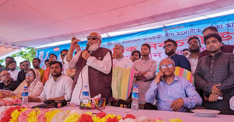 গোপনে নির্বাচনের প্রস্তুতি নিচ্ছে বিএনপি: সালমান এফ রহমান