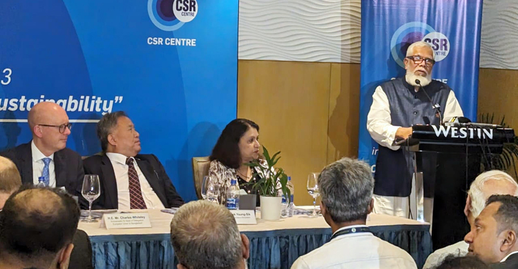 ভিসা নিষেধাজ্ঞা নিয়ে মিথ্যাচার করছে বিএনপি: সালমান এফ রহমান