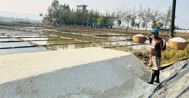 উৎপাদন খরচ তুলতেই হিমশিম খাচ্ছেন লবণ চাষিরা