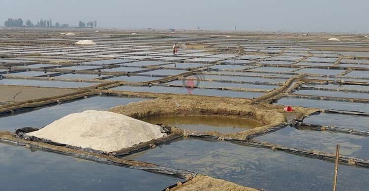 মাঠে অবিক্রিত ৮ লাখ টন লবণ, তবুও আমদানির তোড়জোড়!