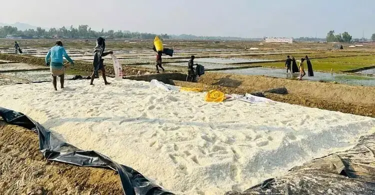 লবণের ন্যায্যমূল্য নিশ্চিতে সরকারের জরুরি হস্তক্ষেপ চায় কনজুমার ফোরাম
