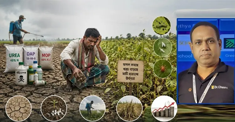 অসুস্থ মাটি, বেশি সার ও কীটনাশক কৃষির জন্য চ্যালেঞ্জ