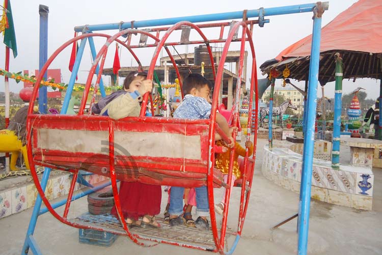 বাড়ির ছাদে কৃত্রিম চিড়িয়াখানা