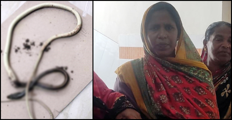 সাপ নিয়েই হাসপাতালে দংশনের শিকার নারী