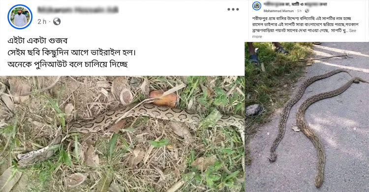 ব্রাহ্মণবাড়িয়ায় ফেসবুকে ছড়ানো হচ্ছে রাসেল ভাইপারের গুজব