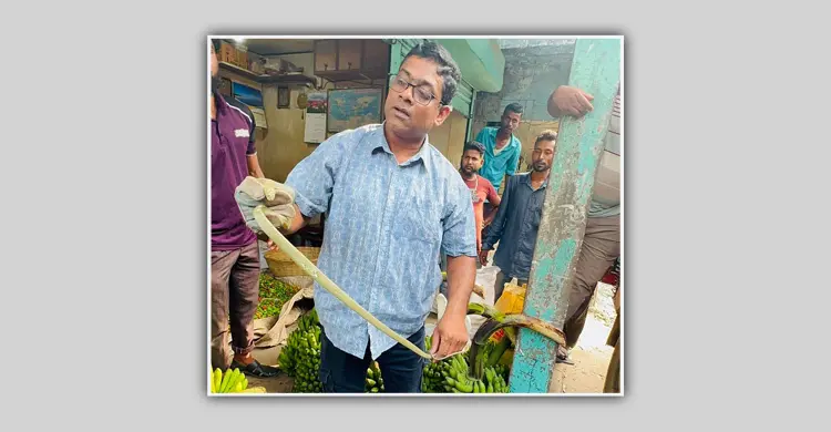 কলার ছড়ার ভেতর লুকিয়ে ছিল সবুজ ফণিমনসা