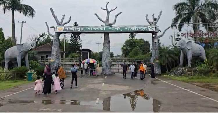 অযত্নে ভুগছে গাজীপুর সাফারি পার্ক, ধুঁকছে প্রাণী