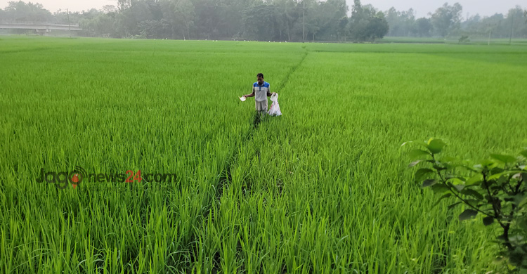 ডিলারের কব্জায় কৃষকের সার