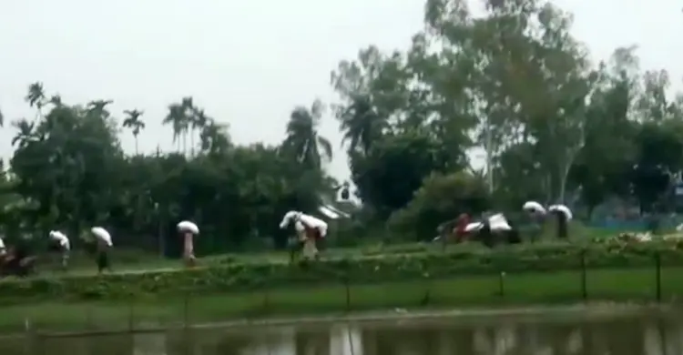 কুড়িগ্রামে লুটের পর ৫৮ বস্তা সার উদ্ধার