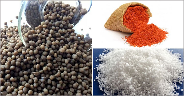 চীন-কানাডা-সৌদি থেকে আসবে ২ লাখ ৩০ হাজার টন সার, ব্যয় ১৮৪৭ কোটি