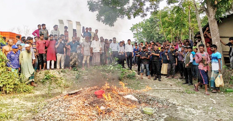 পোড়ানো হলো জেলি পুশ করা ৫০ মণ চিংড়ি, ১২ ব্যবসায়ীর জেল