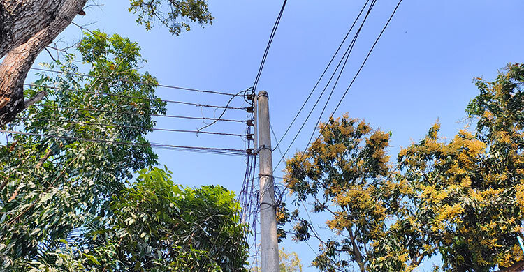 সাতক্ষীরায় বিদ্যুতের তার চুরির হিড়িক, আতঙ্কে গ্রাহকরা