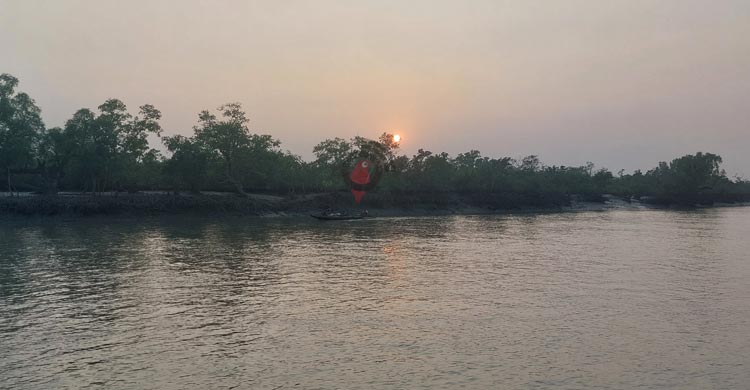 সুন্দরবনে তিন মাসের নিষেধাজ্ঞা, দুশ্চিন্তায় হাজারও বনজীবী